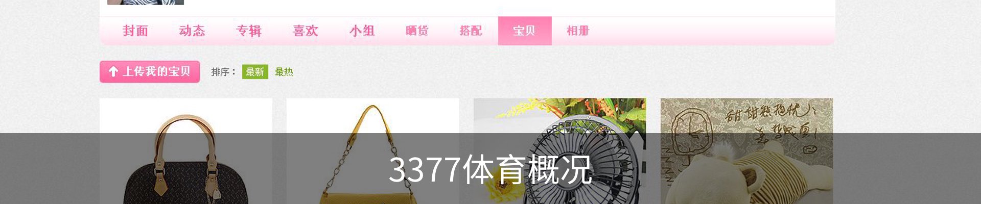 3377体育概况